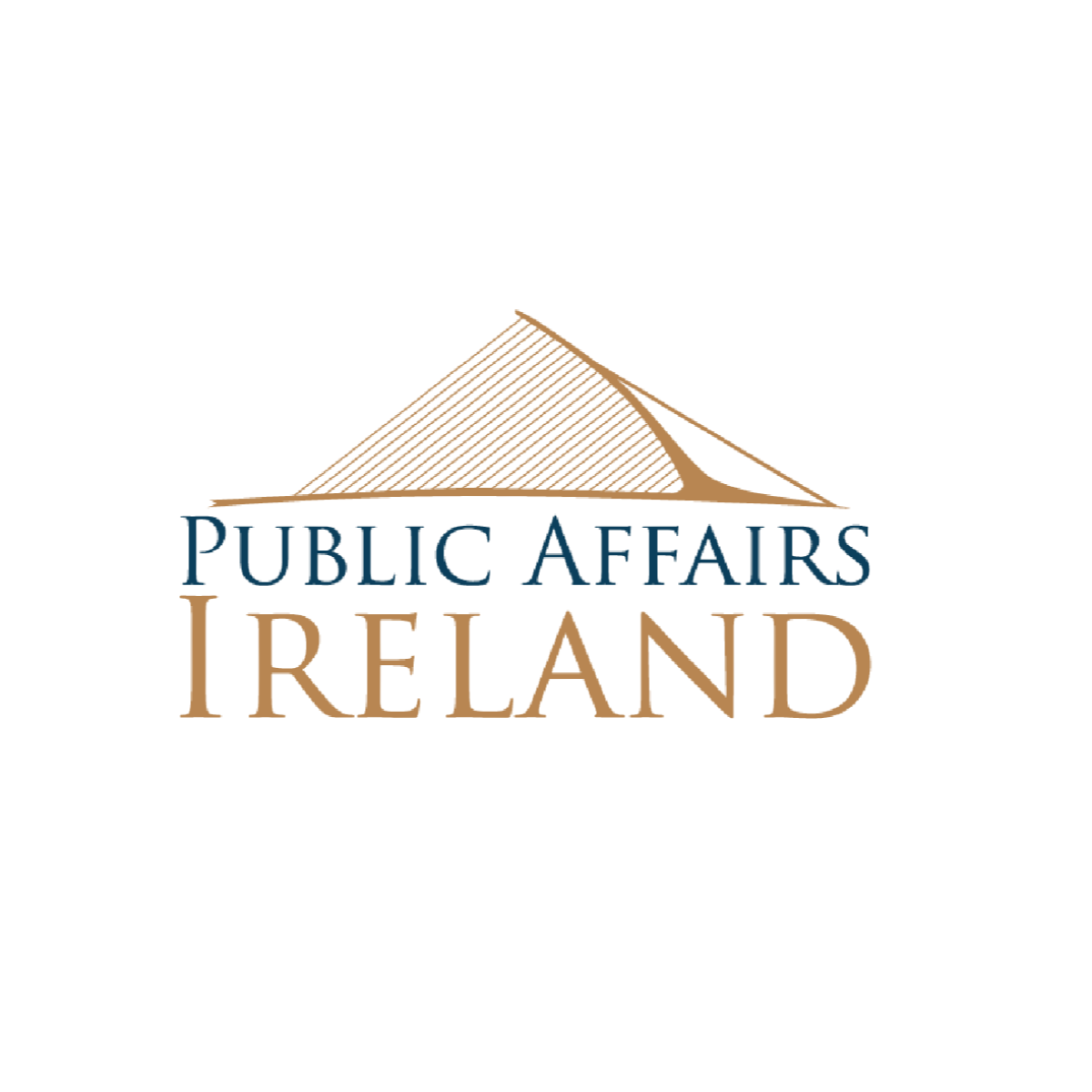Public Affairs Ireland